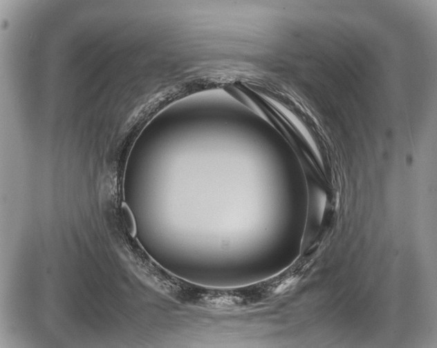 X0000085810407200703231341