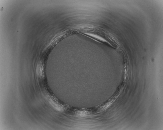 X0000085810408200703231341