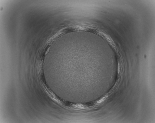 X0000085810409200703231341