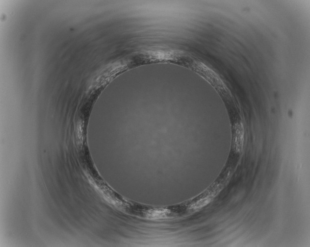 X0000085810410200703231341