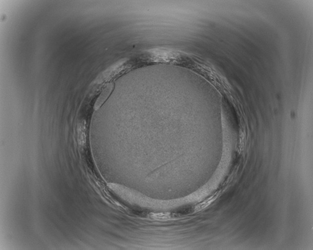 X0000085810413200703231341