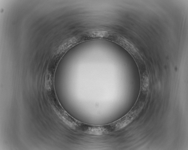 X0000085810414200703231341