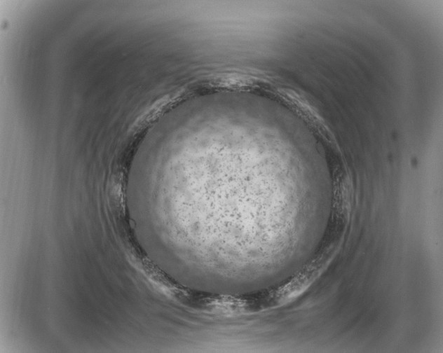 X0000085810415200703231341