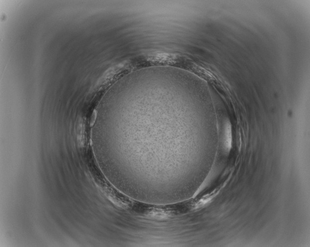 X0000085810416200703231341