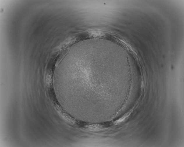 X0000085810417200703231341