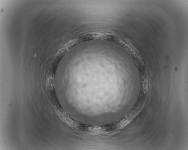 X0000085810419200703231341