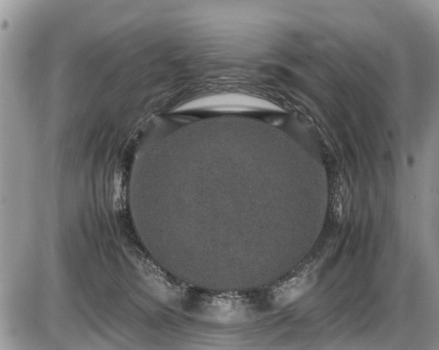 X0000085810420200703231341