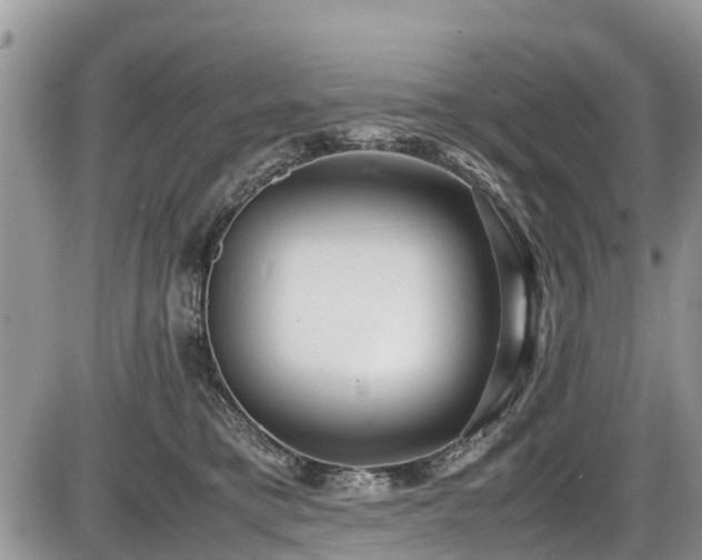 X0000085810421200703231341