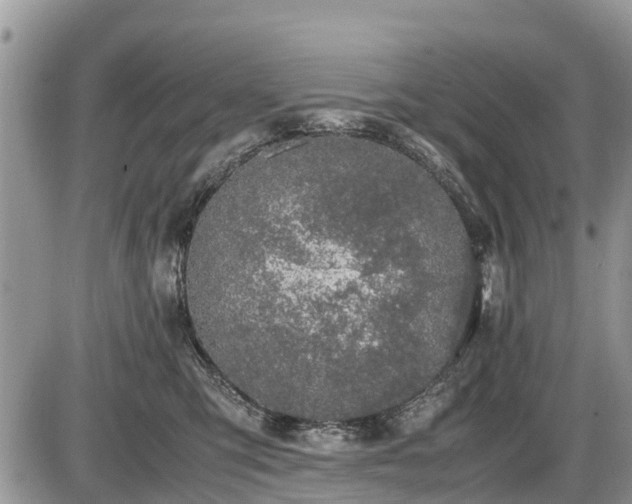 X0000085810423200703231341