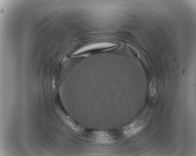 X0000085810424200703231341