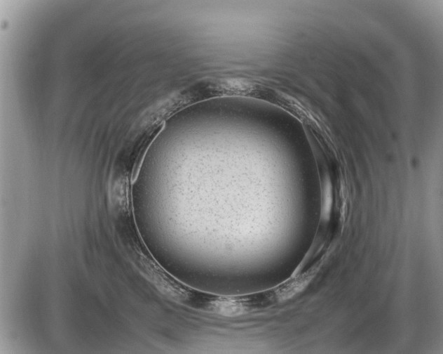 X0000085810425200703231341