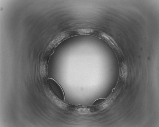 X0000085810426200703231341