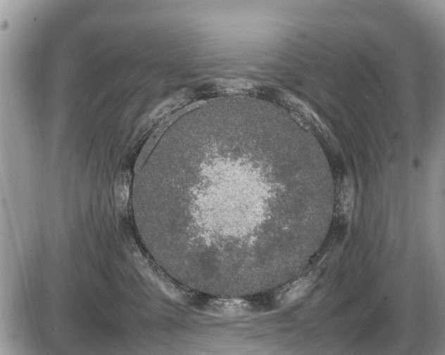 X0000085810427200703231341