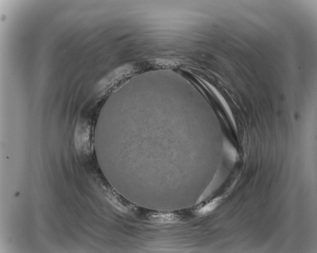 X0000085810428200703231341