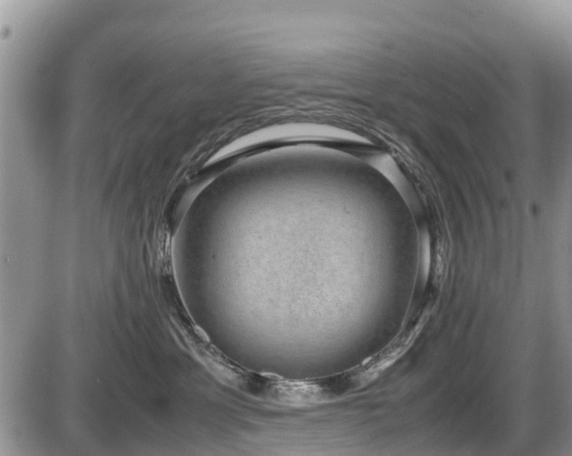 X0000085810429200703231341