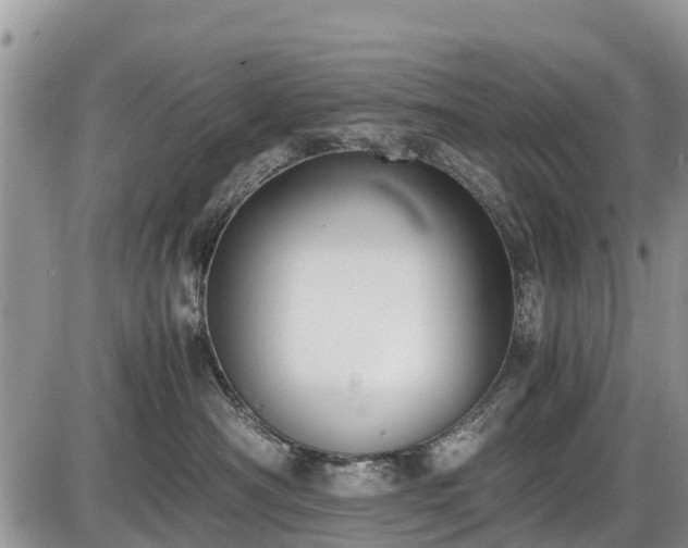 X0000085810430200703231341