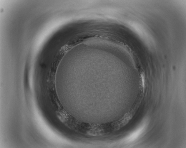 X0000085810431200703231340