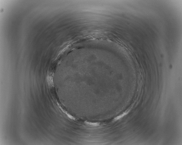 X0000085810432200703231340