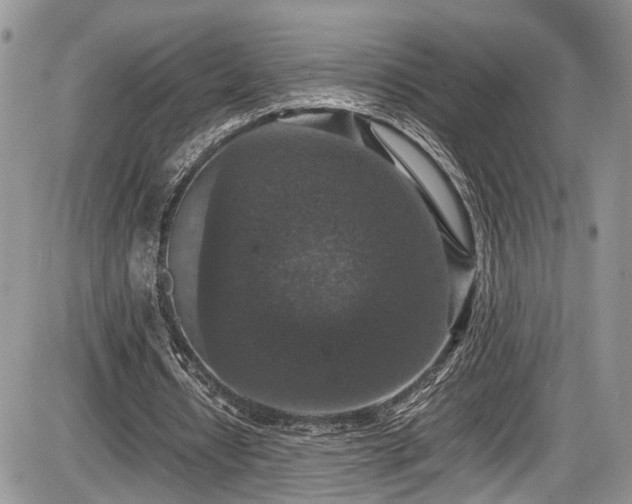 X0000085810434200703231340