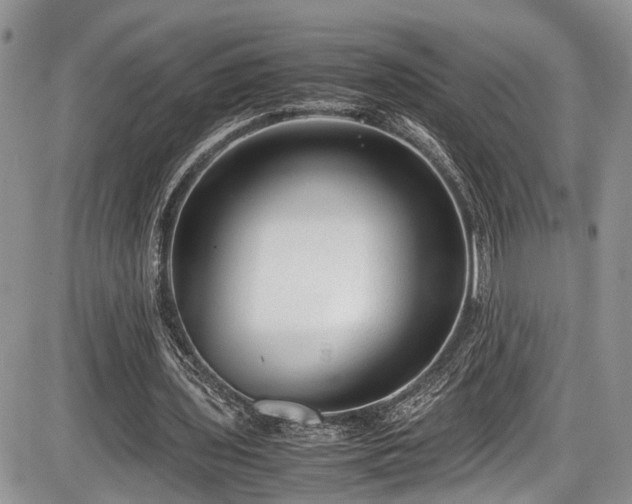 X0000085810435200703231340