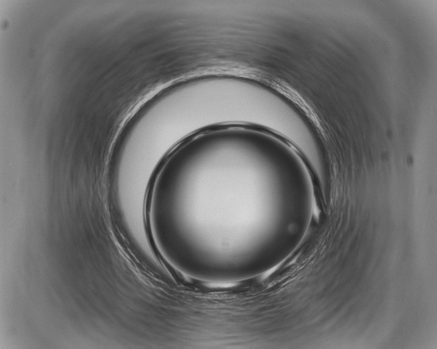 X0000085810436200703231340