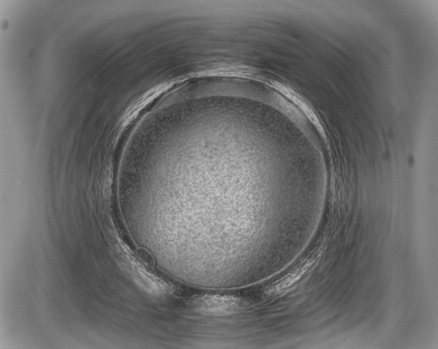 X0000085810437200703231340