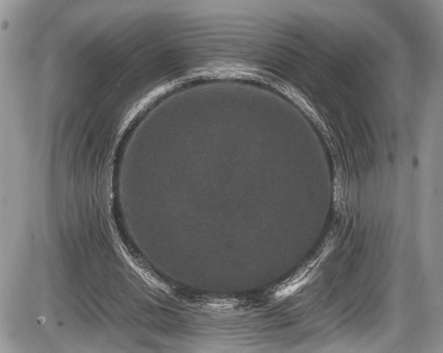 X0000085810438200703231340