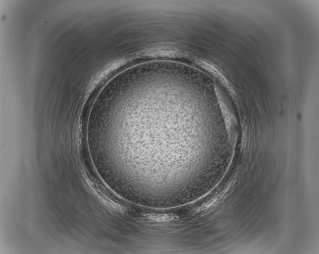 X0000085810439200703231340