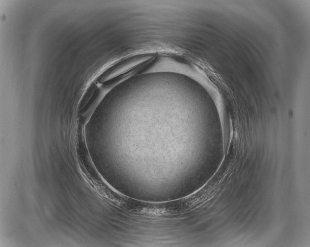 X0000085810440200703231340