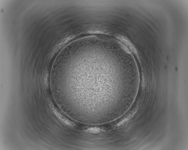 X0000085810441200703231340