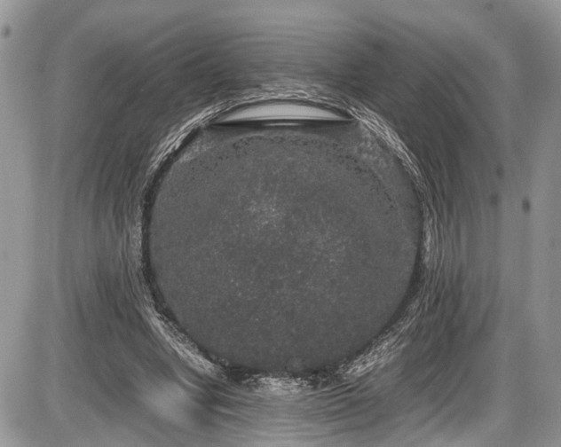 X0000085810442200703231340