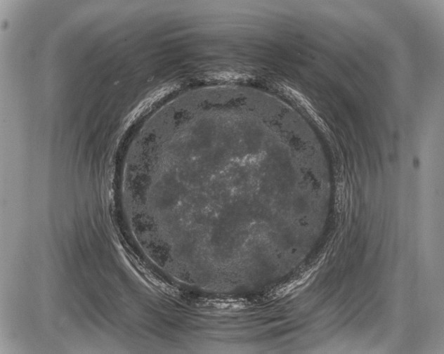 X0000085810443200703231340