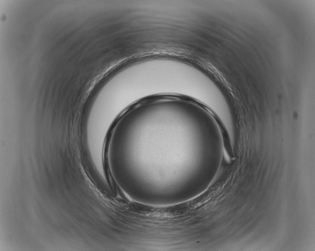 X0000085810444200703231340