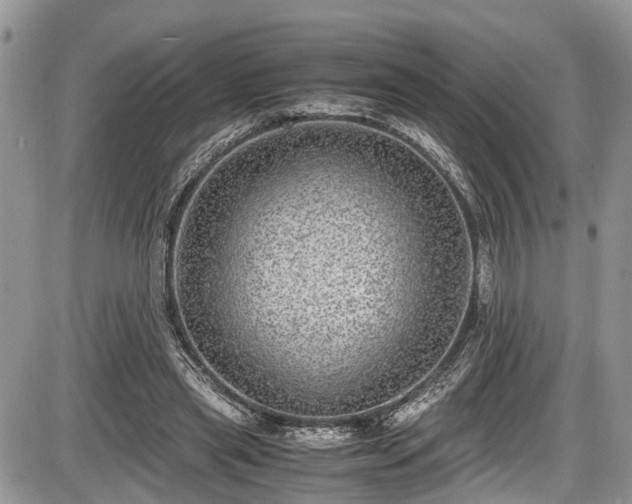 X0000085810445200703231340