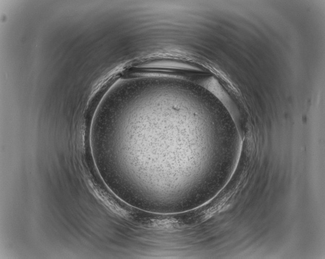 X0000085810446200703231340