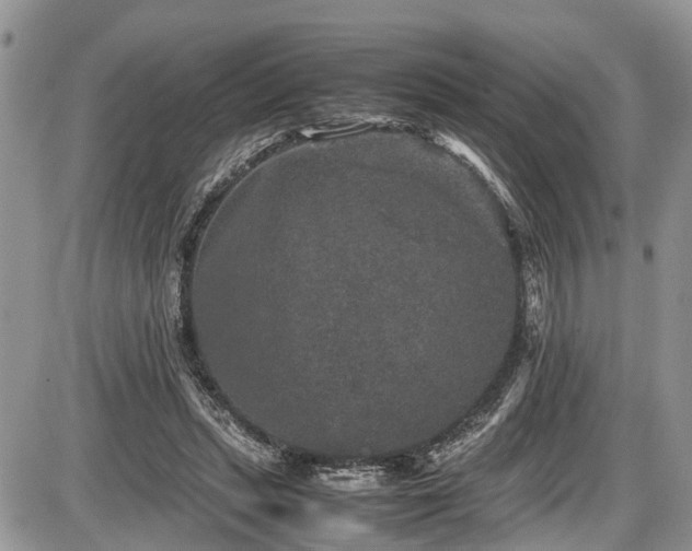 X0000085810447200703231340