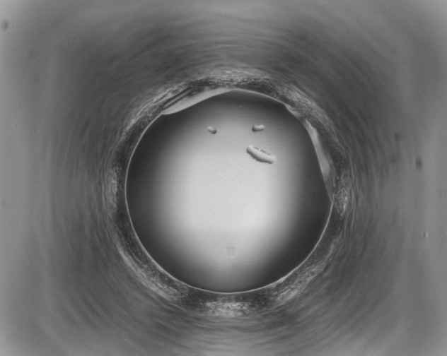 X0000085810448200703231340