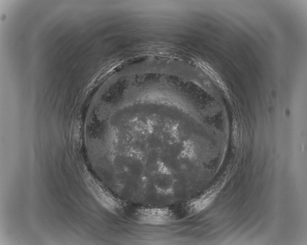 X0000085810449200703231340