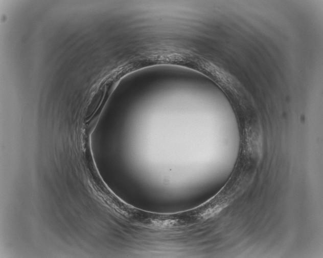 X0000085810450200703231340