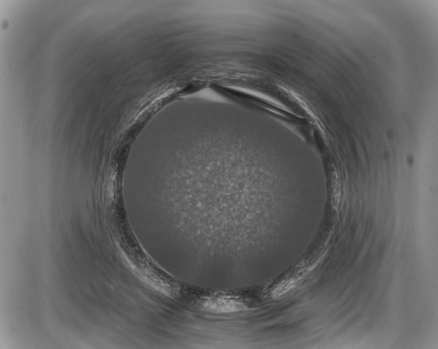 X0000085810451200703231340