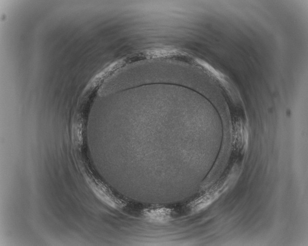 X0000085810452200703231340