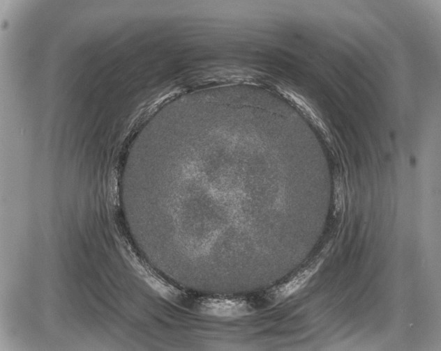 X0000085810453200703231340