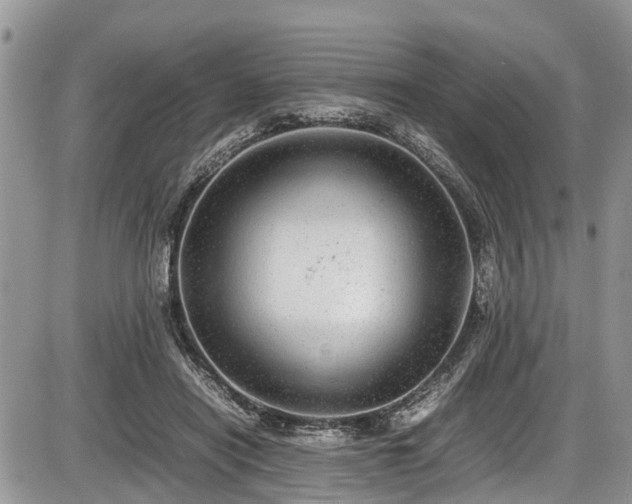 X0000085810454200703231340