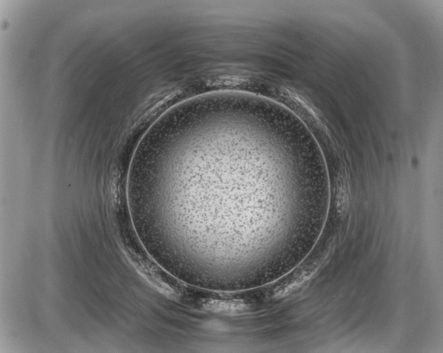 X0000085810455200703231340