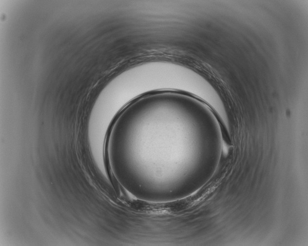 X0000085810456200703231340