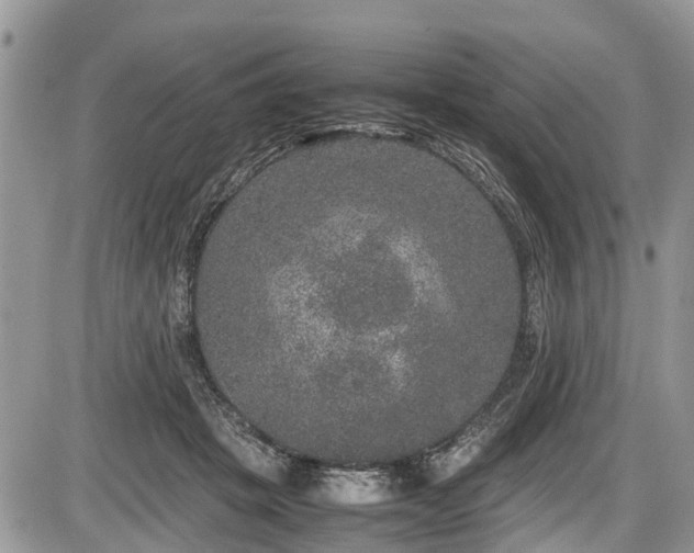 X0000085810457200703231340