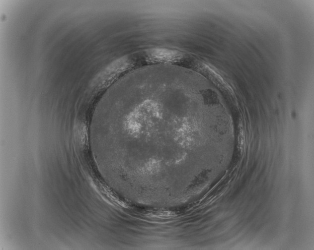 X0000085810459200703231340