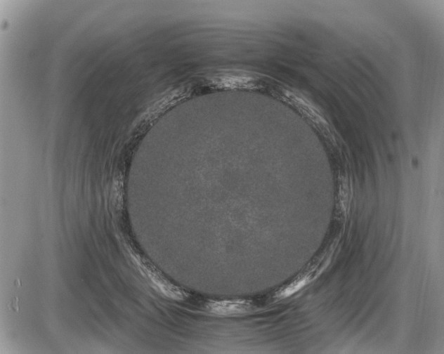 X0000085810461200703231340