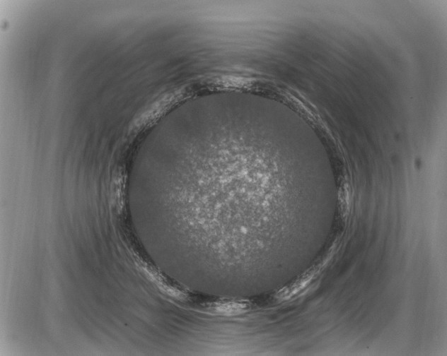 X0000085810462200703231340