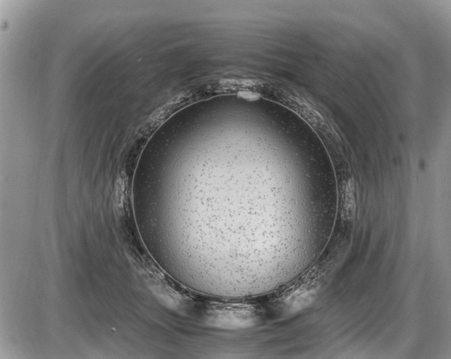 X0000085810463200703231340